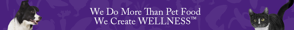 Wellness Wellness